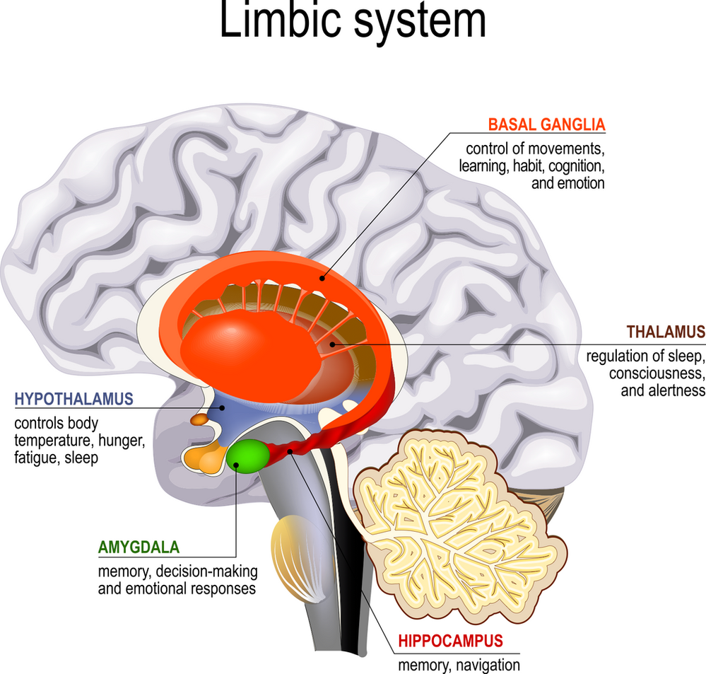 When fear unmanageable