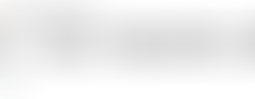 Honoring Our Past, Building Our Future