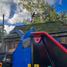 Tree surgeon in the background with machinery in the foreground