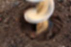 Screw Piling