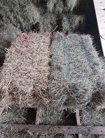 Hay bales