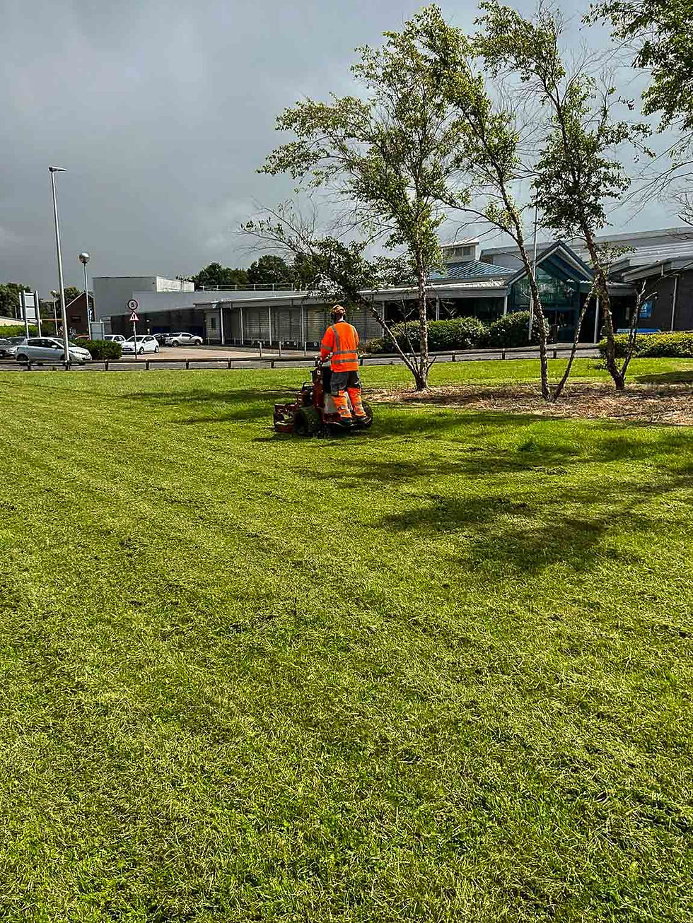 Freshly Cut Grass