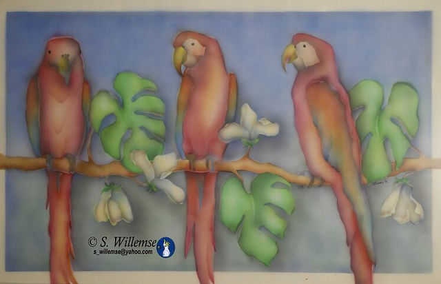 Macaws