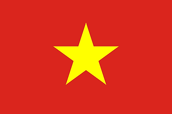 vn (1).png