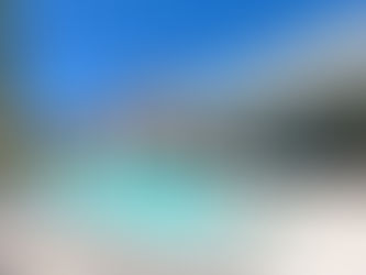 392 Manglares