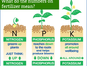 Important Topic for ICAR Assistant: Need of NPK in Soil :