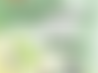 SwitchON Foundation-GBIN Green Enterprise Fellowship (GEF 2023-24)