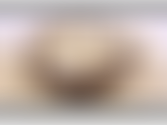 Mithila Makhana Gets GI tags