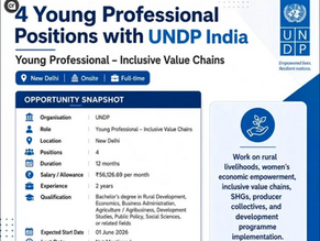 National UN Volunteer (Young Professional)- Last date 15th May 2026