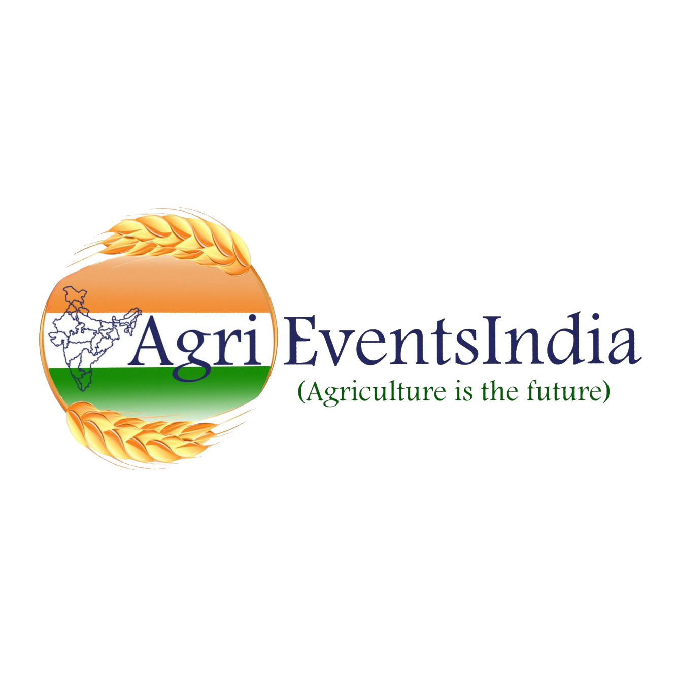 Watch Verona vs. Napoli: TV channel, live stream info, start time - CBS  Sports, image size:1330x1330