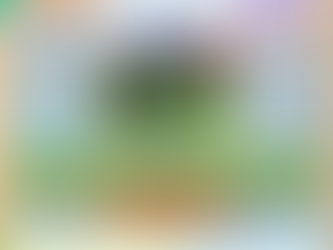 International Conference on Millets for Achieving Nutritional and Economic Security at NIFTEM