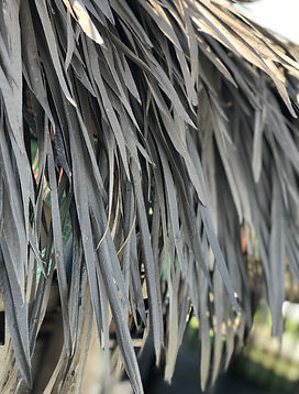 endureed close up thatch .jpeg