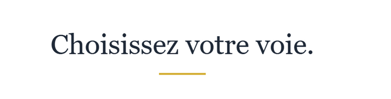 Découvrir la vision clinique et neuro-stratégique de l'Institut Résiliange.