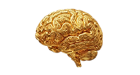 INSTITUT RÉSILIANGE | Neuro-Stratégie Clinique
