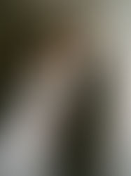 Australian destination wedding