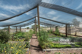 istockphoto-807918042-1024x1024.jpg