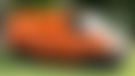 Image of orange KidneyMobile van