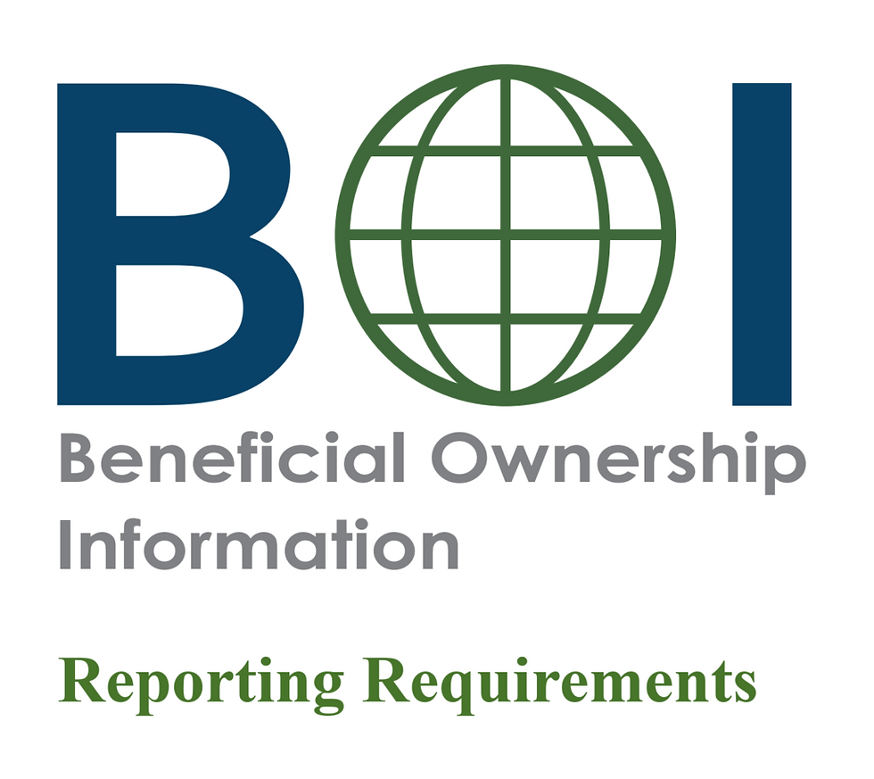 boi report small business llc