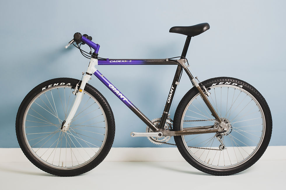 Giant Cadex CFM3 1992 | MTBMinded