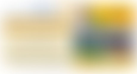 Construction, Education, Medical Mission in Mexico