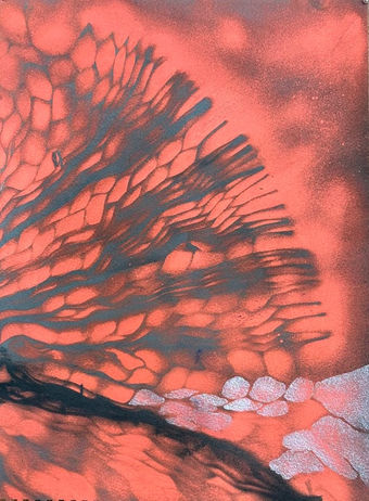 Murmurs 1