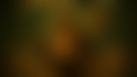 Curse of Dimensionality: Raiders of the Lost Accuracy