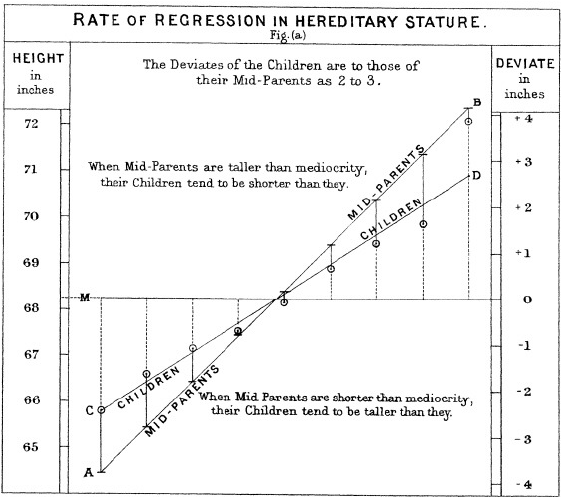 Francis Galton's illustration of the correlation between the heights of adults and their parents.