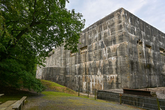 Bunker historique en béton en lisière de forêt.