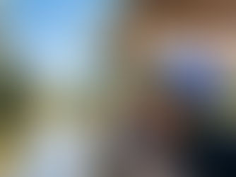 Ô Marais au fil de l'eau au départ de Clairmarais, une jolie découverte du marais maraîcher !