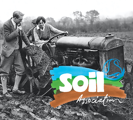 Exchange Lady Eve.png