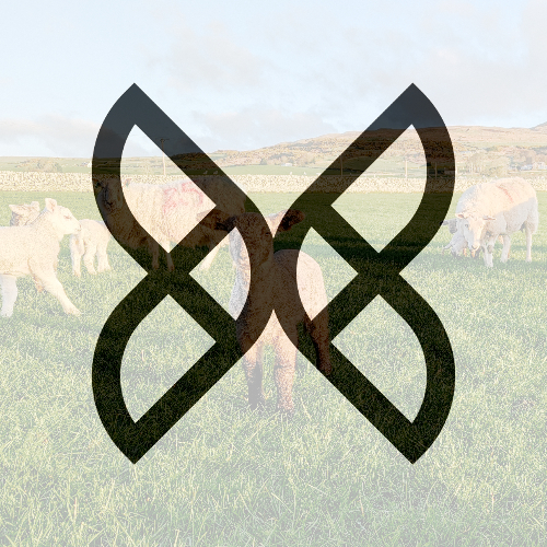 Writer: Soil Association Exchange