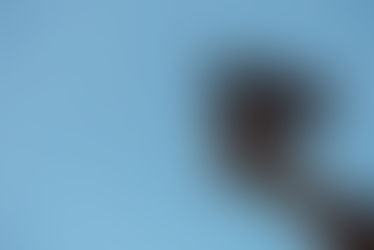 The Artful Filmmaker Blog is Alive