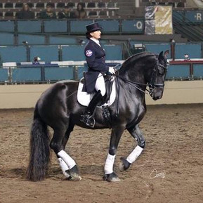 Allison Mathy Lyric Dressage