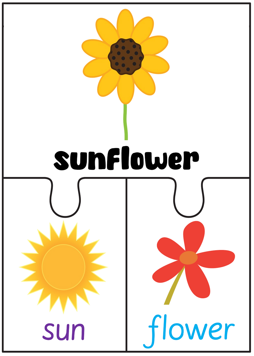 Thumbnail: Compound and Contraction Word Jigsaws