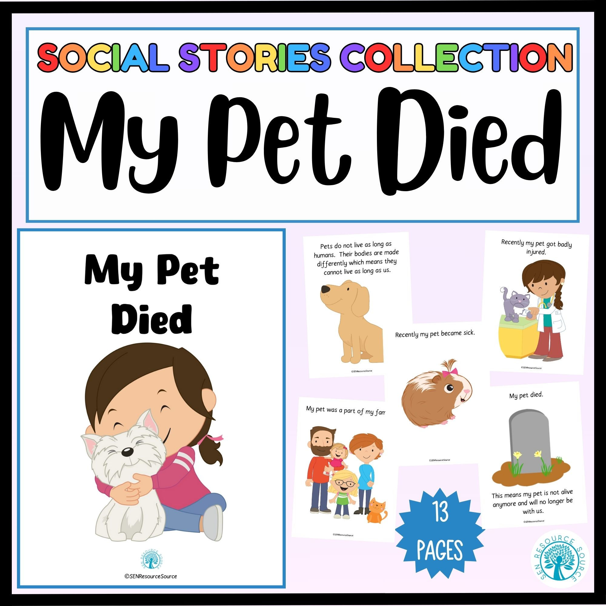 My Pet Died Social Story