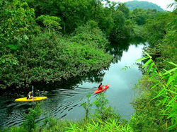 AMAZONAS
