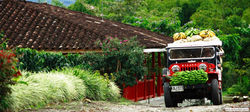 EJE CAFETERO