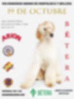 VIII CONCURSO CANINO DE BÉTERA