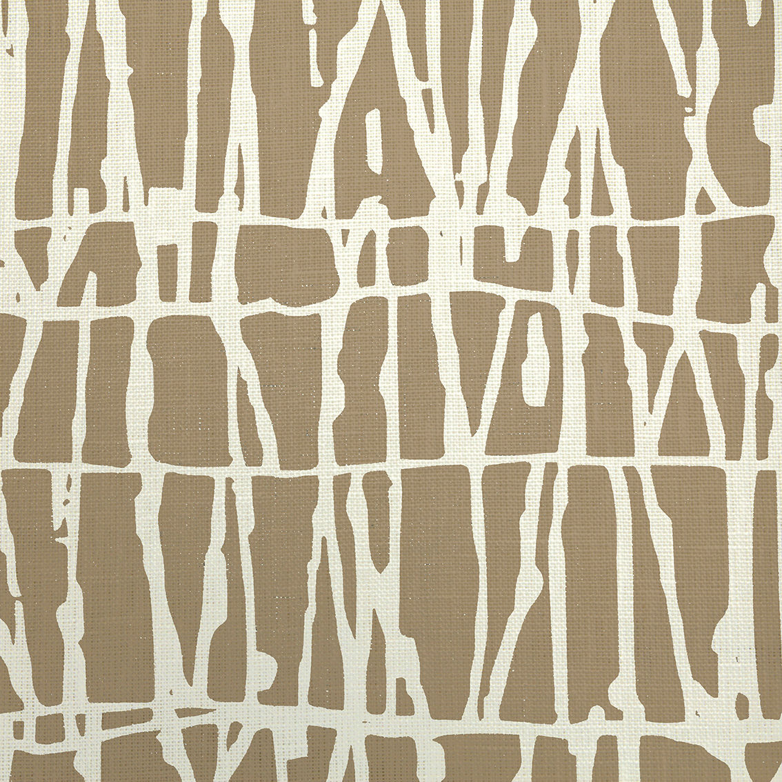 Cerca Aniseed