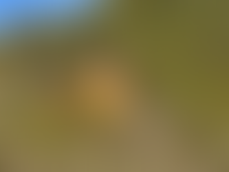 The Avalanche in Ellijay