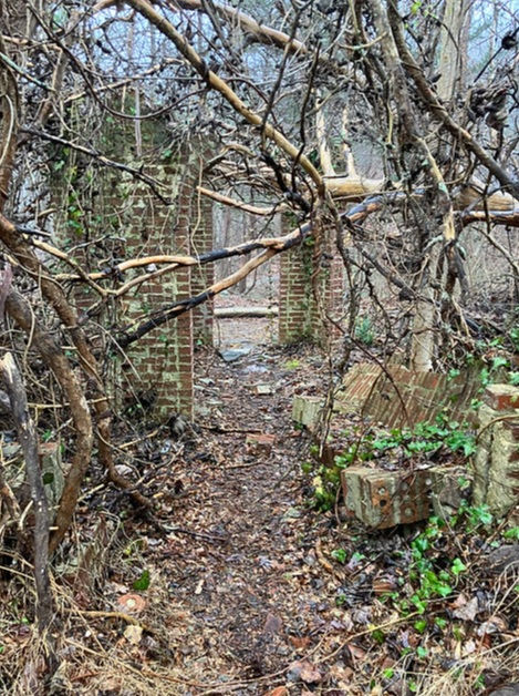 Corpsewood ruins 2023
