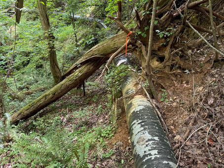 The Ditch, aka The Southern Marble Company pipeline