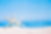 white starfish with ocean, on white sand beach, sky and seascape, shallow dof.jpg