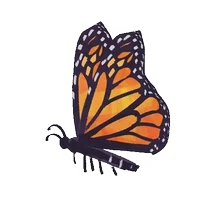 200.webp