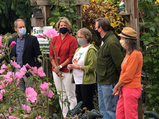 GROW PARTNERS WITH BALLARD P-PATCH TO SAVE BELOVED COMMUNITY GARDEN