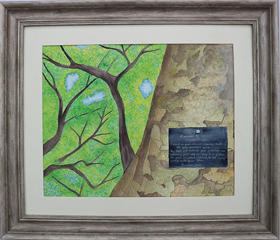 Oriental Plane: stand close; look up By Sarah Goddard This is a large portrait-orientation pen and watercolour painting, mounted in an off-white mount, and framed in a wide distressed wood-effect frame. It is a painting of an oriental plane tree combining a close-up of the tree trunk on the right-hand side of the painting, with a view in a different direction up towards the canopy of the tree on the left-hand side of the painting. The painting was based on reference photographs taken in the arboretum on a clear, sunny autumn day.