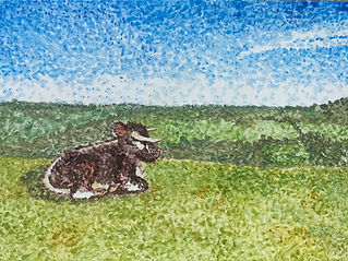 Leckhampton Hill English Longhorn is a small pointillism-style landscape-orientation watercolour painting. A deep brown and white horned cow is lying down on the left of the painting, looking to the right across distant hills.