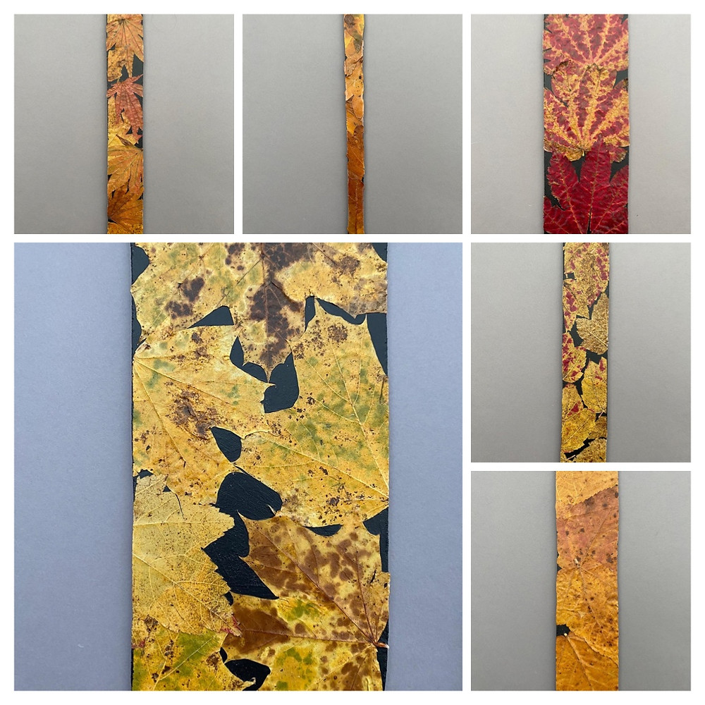 Photo collage of panels of MDF with autumn leaves collaged on to them.