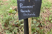 les fruitiers de la Gauderie