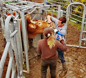 prestation agricole Agri Tac